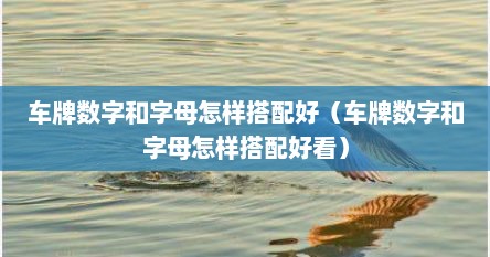 车牌数字和字母怎样搭配好（车牌数字和字母怎样搭配好看）