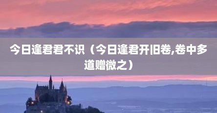今日逢君君不识（今日逢君开旧卷,卷中多道赠微之）