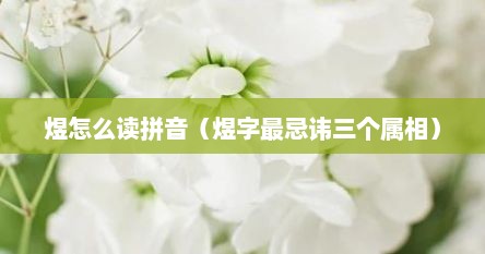 煜怎么读拼音（煜字最忌讳三个属相）