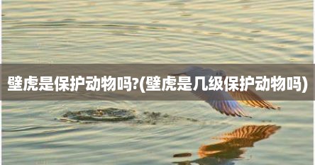 壁虎是保护动物吗?(壁虎是几级保护动物吗)