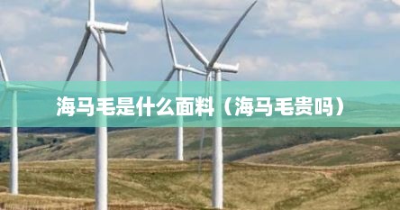 海马毛是什么面料（海马毛贵吗）