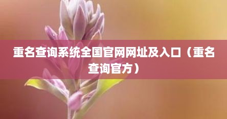 重名查询系统全国官网网址及入口（重名查询官方）