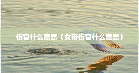 伤官什么意思（女带伤官什么意思）