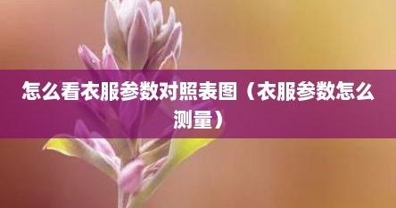 怎么看衣服参数对照表图（衣服参数怎么测量）