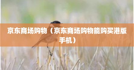 京东商场购物（京东商场购物能购买港版手机）