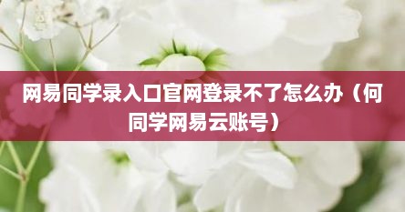 网易同学录入口官网登录不了怎么办（何同学网易云账号）