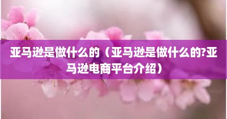 亚马逊是做什么的（亚马逊是做什么的?亚马逊电商平台介绍）