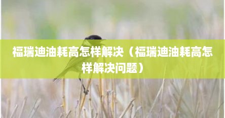 福瑞迪油耗高怎样解决（福瑞迪油耗高怎样解决问题）