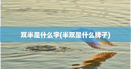 双半是什么字(半双是什么牌子)