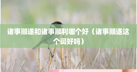 诸事顺遂和诸事顺利哪个好（诸事顺遂这个词好吗）