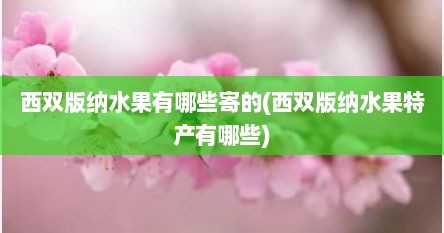 西双版纳水果有哪些寄的(西双版纳水果特产有哪些)