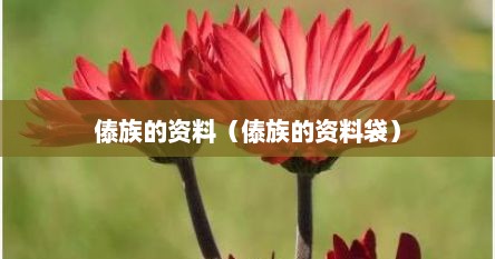 傣族的资料（傣族的资料袋）