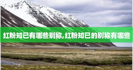 红粉知已有哪些别称,红粉知已的别称有哪些