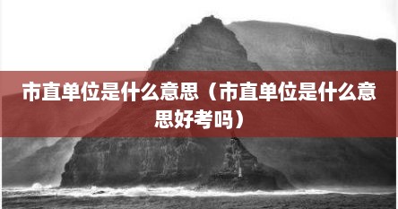 市直单位是什么意思（市直单位是什么意思好考吗）