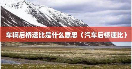 车辆后桥速比是什么意思（汽车后桥速比）