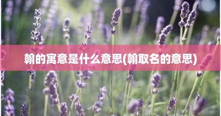 翰的寓意是什么意思(翰取名的意思)