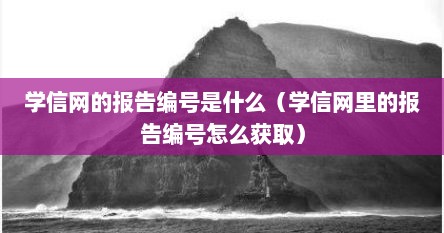 学信网的报告编号是什么（学信网里的报告编号怎么获取）