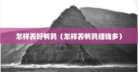 怎样养好鹌鹑（怎样养鹌鹑赚钱多）