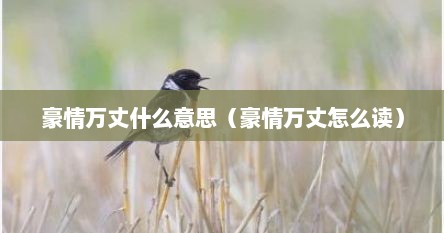 豪情万丈什么意思（豪情万丈怎么读）