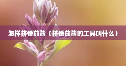 怎样挤番茄酱（挤番茄酱的工具叫什么）