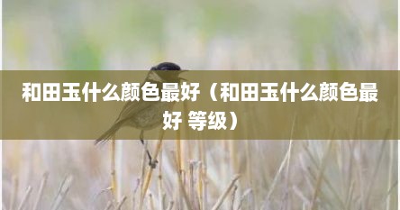 和田玉什么颜色最好（和田玉什么颜色最好 等级）