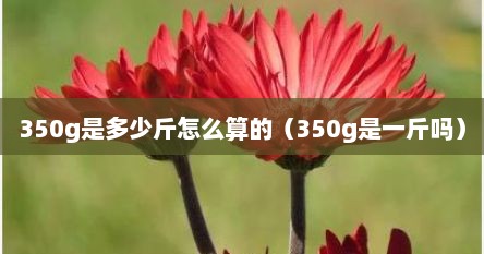 350g是多少斤怎么算的（350g是一斤吗）