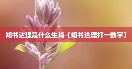 知书达理是什么生肖（知书达理打一数字）