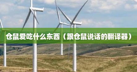 仓鼠爱吃什么东西（跟仓鼠说话的翻译器）