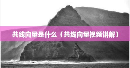 共线向量是什么（共线向量视频讲解）