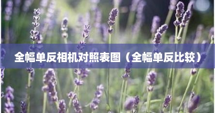 全幅单反相机对照表图（全幅单反比较）