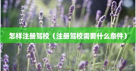 怎样注册驾校（注册驾校需要什么条件）