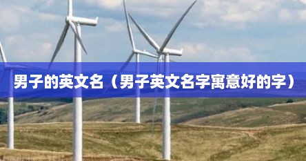 男子的英文名（男子英文名字寓意好的字）