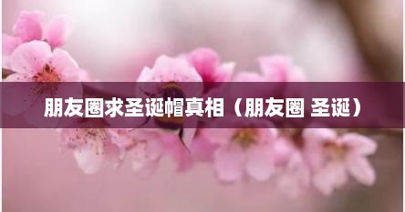 朋友圈求圣诞帽真相（朋友圈 圣诞）