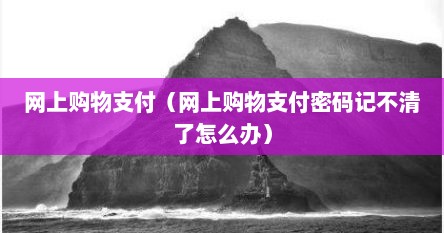 网上购物支付（网上购物支付密码记不清了怎么办）