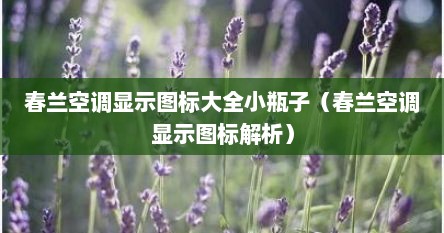 春兰空调显示图标大全小瓶子（春兰空调显示图标解析）