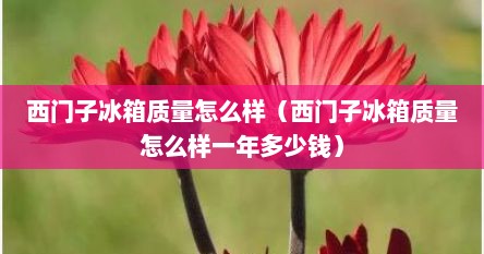 西门子冰箱质量怎么样（西门子冰箱质量怎么样一年多少钱）