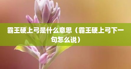 霸王硬上弓是什么意思（霸王硬上弓下一句怎么说）