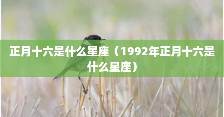 正月十六是什么星座（1992年正月十六是什么星座）