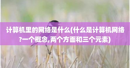 计算机里的网络是什么(什么是计算机网络?一个概念,两个方面和三个元素)