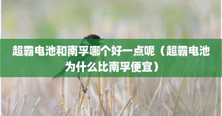 超霸电池和南孚哪个好一点呢（超霸电池为什么比南孚便宜）