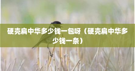 硬壳扁中华多少钱一包呀（硬壳扁中华多少钱一条）