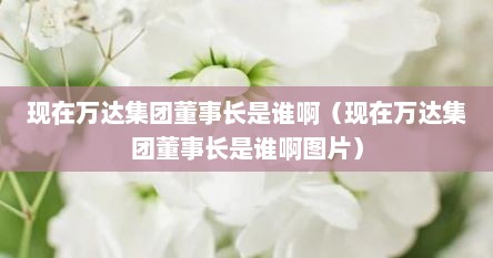 现在万达集团董事长是谁啊（现在万达集团董事长是谁啊图片）