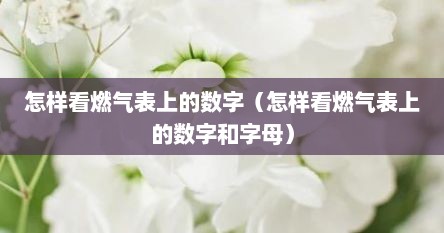 怎样看燃气表上的数字（怎样看燃气表上的数字和字母）