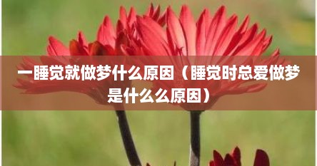 一睡觉就做梦什么原因（睡觉时总爱做梦是什么么原因）