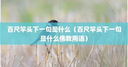 百尺竿头下一句是什么（百尺竿头下一句是什么佛教用语）