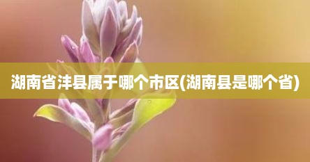 湖南省沣县属于哪个市区(湖南县是哪个省)