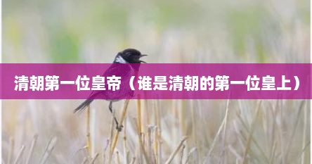 清朝第一位皇帝（谁是清朝的第一位皇上）