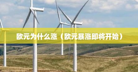 欧元为什么涨（欧元暴涨即将开始）