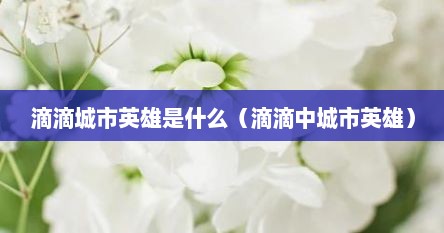 滴滴城市英雄是什么（滴滴中城市英雄）