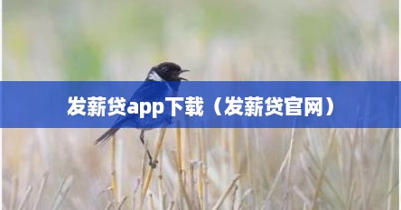发薪贷app下载（发薪贷官网）